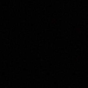 Meet your Posher, Pepper